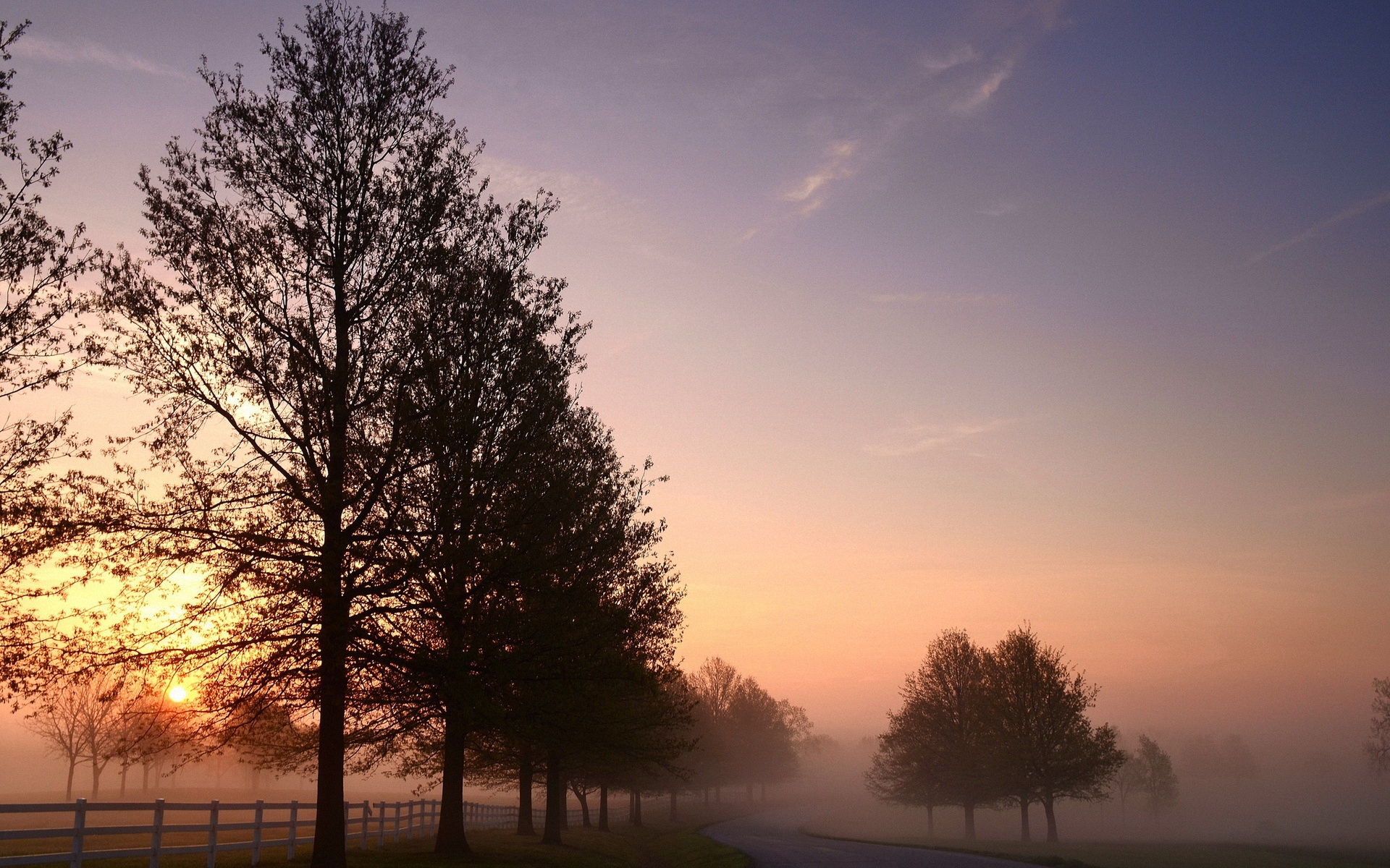 世界柔道大奖赛决赛日:多个级别金牌集中产生,2020世界柔道大奖赛